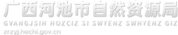 广西河池市自然资源局网站